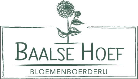 Logo Baalse Hoef Bloemen Baarle-Hertog